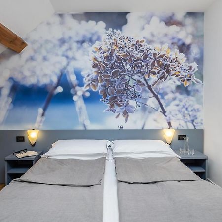 Pippo Hotel Terzolas Экстерьер фото